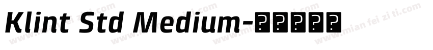 Klint Std Medium字体转换